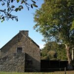Un noyer et un bâtiment de pierres séparés de quelques mètres cohabitent sans se toucher dans un cadre verdoyant