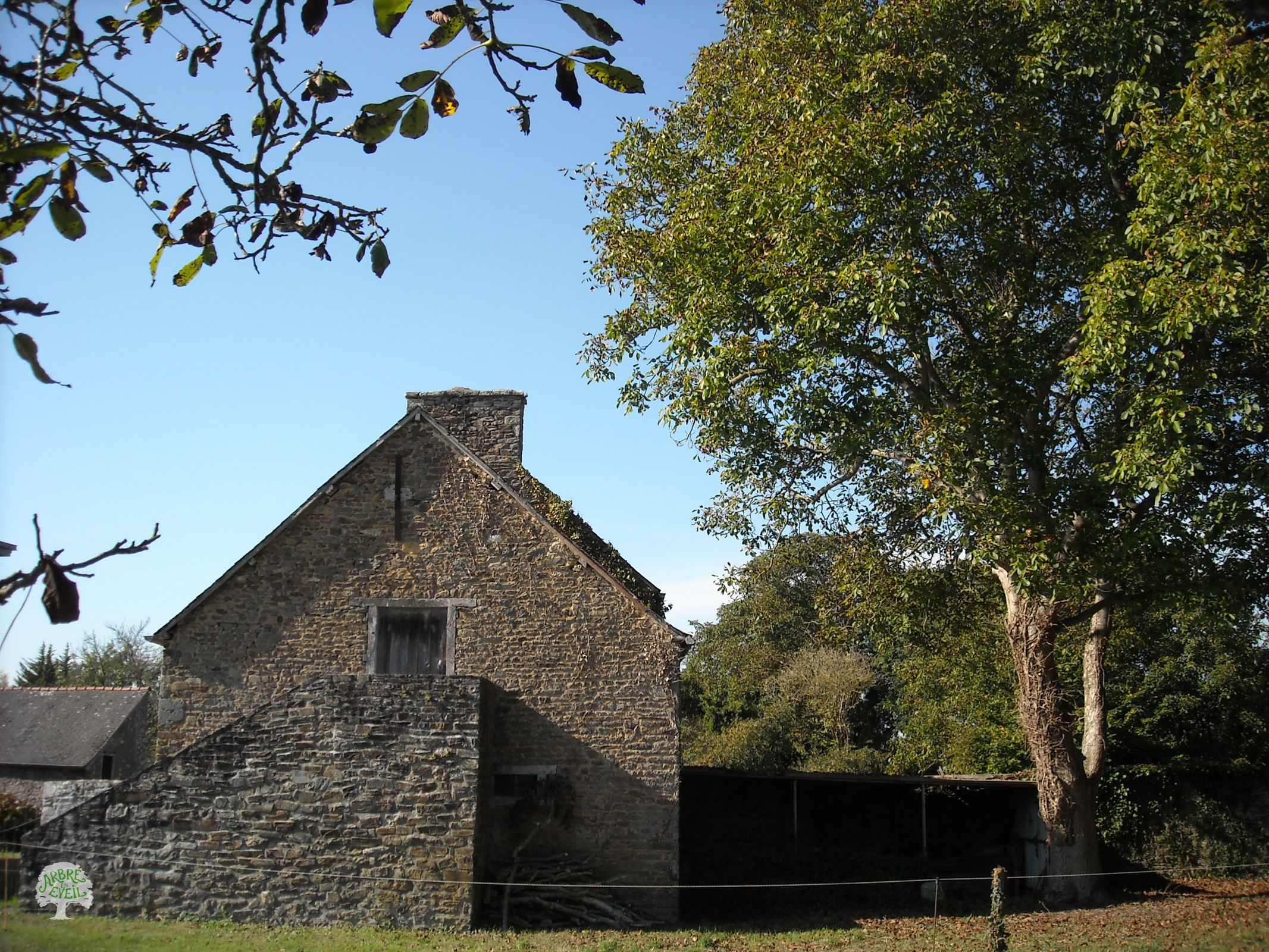 Un noyer et un bâtiment de pierres séparés de quelques mètres cohabitent sans se toucher dans un cadre verdoyant